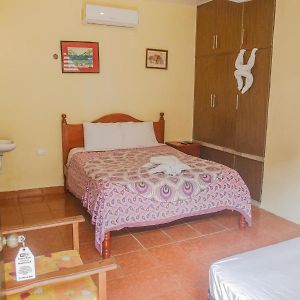 Habitación Económica con 2 Camas Individuales